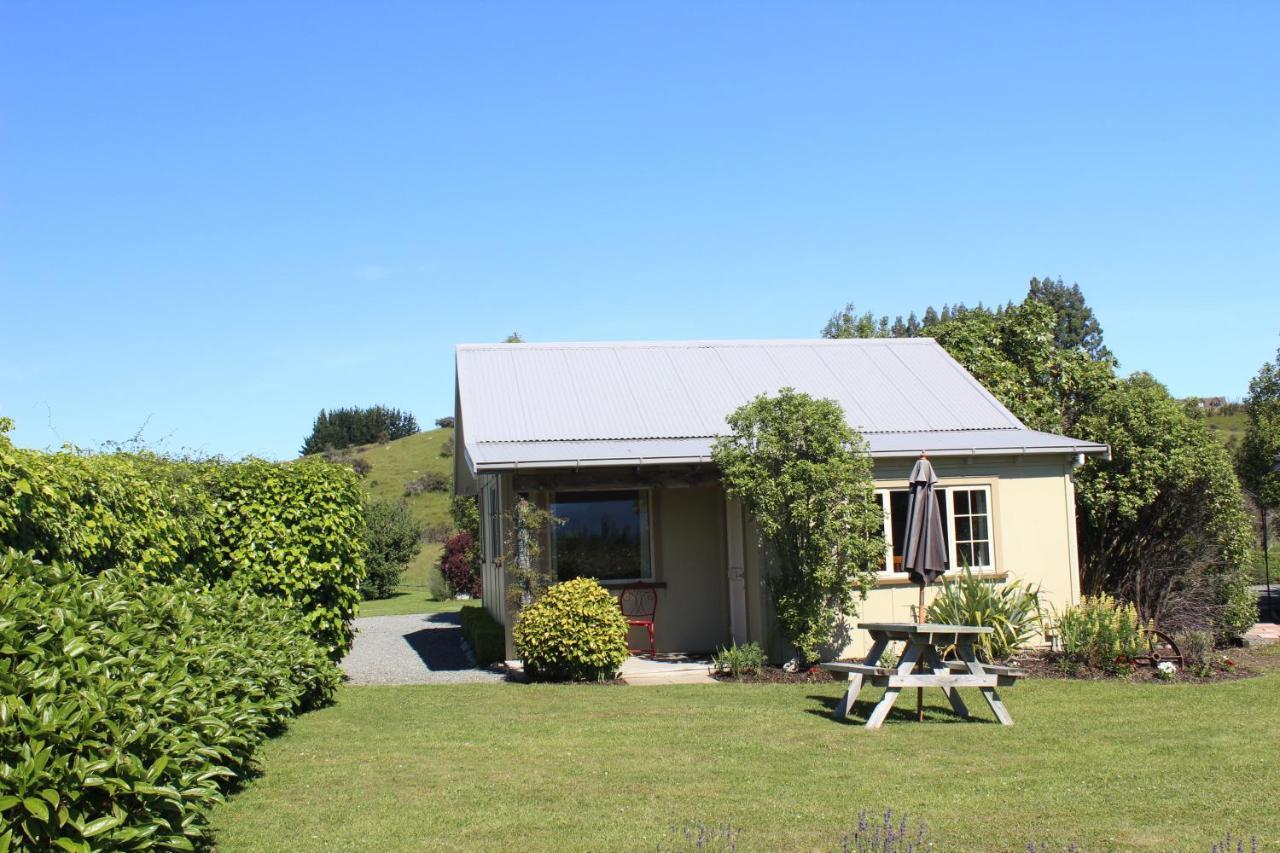 Blue Thistle Cottages Te Anau Buitenkant foto