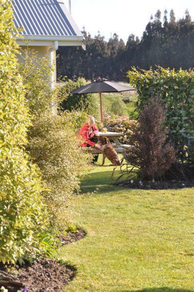 Blue Thistle Cottages Te Anau Buitenkant foto